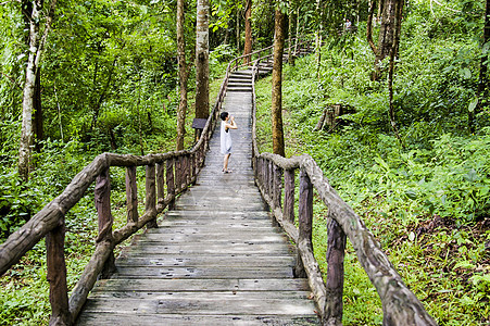 泰国清迈林木桥与丛林之桥图片