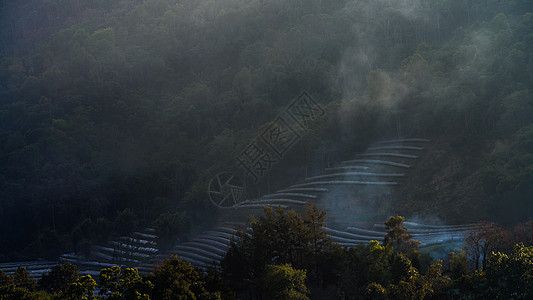 温室植物泰国清迈起跑线旅游高地天空农业生长环境热带场景季节图片