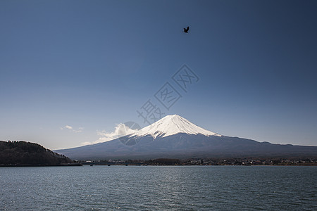 富士山里程碑 日本图片
