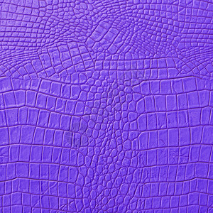 紫皮革图片