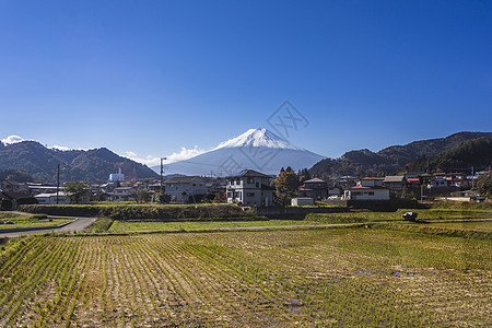 富士山有乡间家园和稻田图片