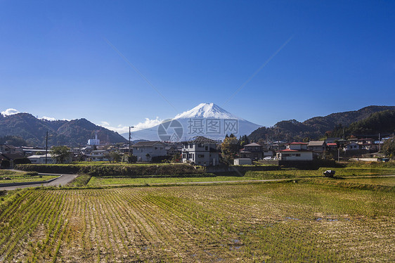 富士山有乡间家园和稻田图片