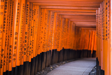 日本京都神庙天空橙子狐狸文化观光木头花园神社建筑学蓝色图片