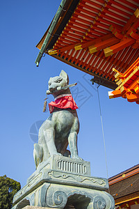 日本京都神庙建筑学雕像天空神社宗教历史文化场景地标狐狸图片