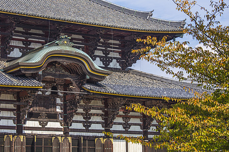 东吉寺 日本娜拉大厅遗产地标建筑历史纪念碑旅行天空世界文化图片