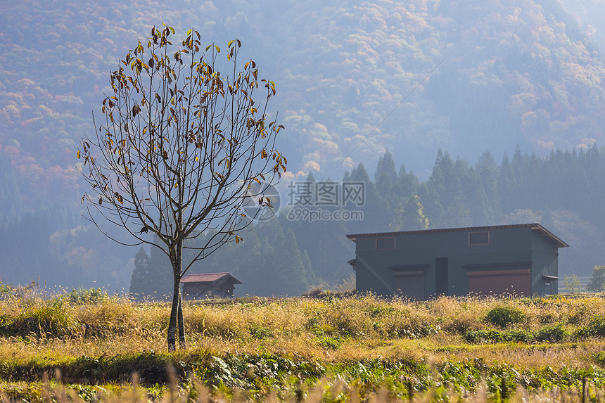 日本白川高的秋季建筑村庄历史季节历史性遗产房子世界地标全景图片