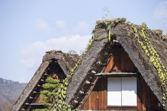 在小村庄的乡和稻田森林全景合掌季节世界村庄历史历史性建筑白川图片
