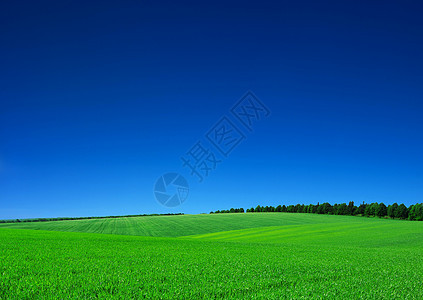 绿绿地太阳农村土地阳光植物农场季节蓝色场景天气图片