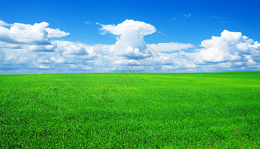 字段全景多云场地风景土地农场地平线植物天气草地图片