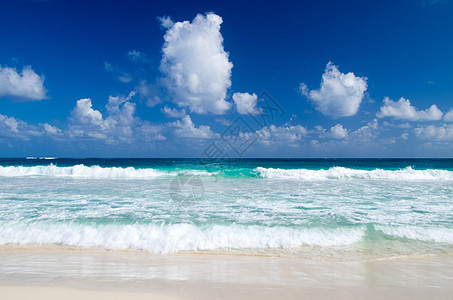 热带海洋蓝色假期椰子日落地平线波纹旅行棕榈天空海浪图片