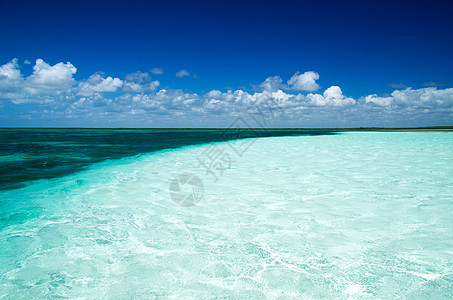 海 海海景冲浪天堂旅行海浪晴天海洋蓝色天空太阳图片