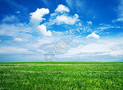 字段牧场季节风景乡村远景绿色多云植物农业农场图片