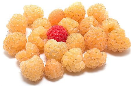 几个黄草莓中一个红色花园孤独黄色食物营养饮食水果图片