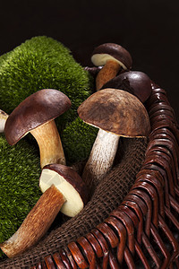 美味的可食肉丸蘑菇图片