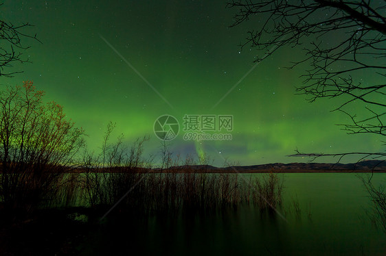 北极光显示拉贝格湖海岸柳树图片