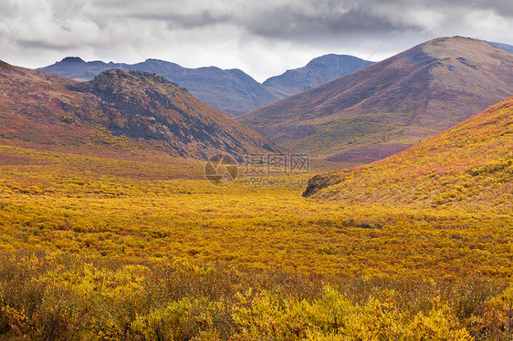 秋色墓碑领土公园加拿大育空假期旅行颜色山脉领土刷子环境荒野橙子地形图片