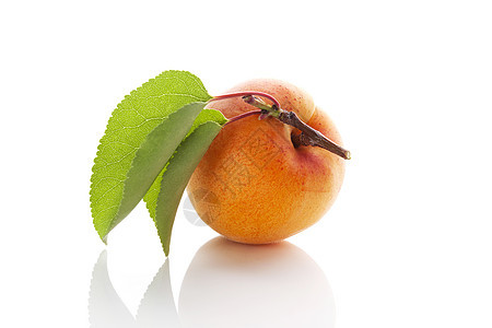 新鲜的杏子水平食物活力白色叶子营养橙子健康饮食黄色水果图片