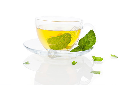 新鲜薄荷茶叶子水平白色健康液体玻璃树叶饮料草药绿色图片
