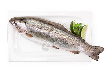 豪华海鲜背景白色食物鳟鱼午餐迷迭香营养动物托盘水平烹饪图片