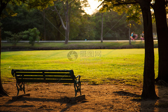 在公园的座椅上植物长椅小路木头时间树木叶子休息阳光草地图片