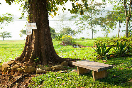 一棵树下面的座椅日落椅子叶子花园院子长椅地面场景国家家具图片