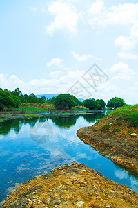 河流及其河岸爬坡季节旅游阳光反射风景叶子植物旅行木头图片