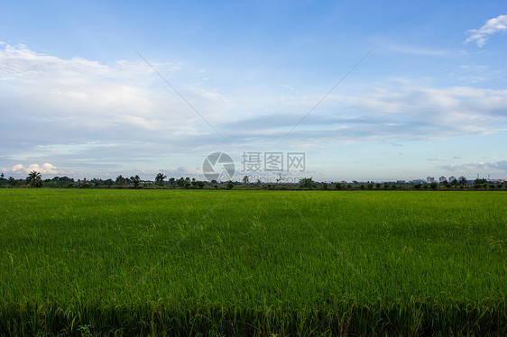 青云云蓝云的绿草原地平原图片