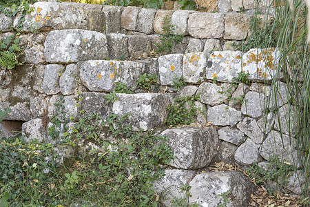 旧石墙叶子岛屿绿色植物黄色楼梯残余物历史历史性脚步建筑图片