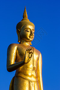 泰国金佛雕像站立图片