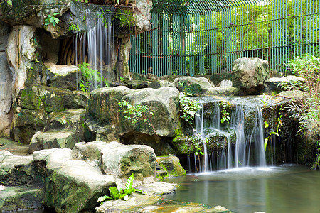 瀑布花园丛林环境风景叶子溪流热带木头墙纸石头图片