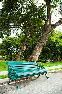 一棵树下面的座椅木头绿色植物孤独座位阴影长椅花园娱乐衬套退休图片