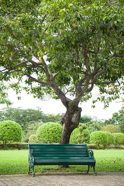 一棵树下面的座椅座位季节休息娱乐长椅衬套绿色植物木头公园图片