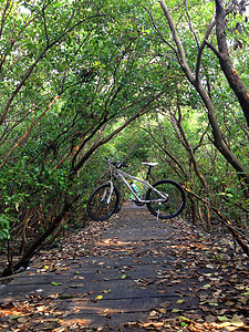 在森林的木路上骑自行车速度小路运动背景图片