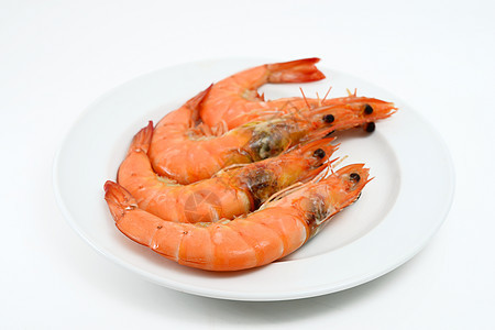 虾食物甲壳海鲜动物白色贝类背景图片
