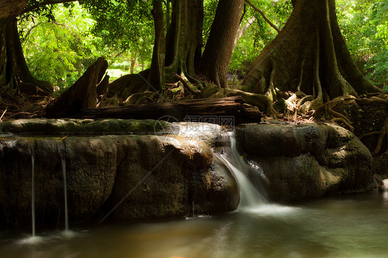 自然的瀑布旅行热带叶子运动木头丛林溪流绿色荒野流动图片