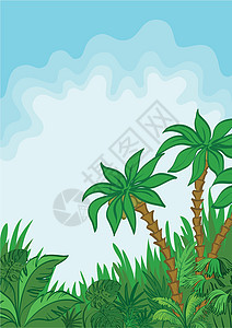 外来景观 棕榈和植物墙纸生态植物群热带情调天空环境花园天堂植物学图片
