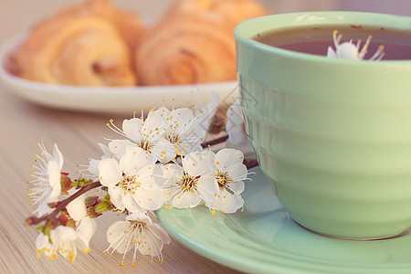 茶杯和羊角面包 在开花的树枝附近早餐花朵牛奶食物桌子盘子咖啡商业液体饮料图片