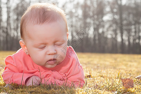 躺在草地上的婴儿图片