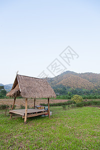 字段中的小栏食物小屋木头植物农场粮食收成旅行国家爬坡图片