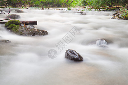 溪流中的水苔藓环境流动阳光运动土地速度花园旅行林地图片