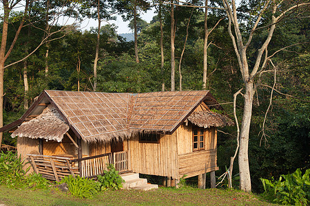 山上的房子小屋绿色森林风景国家环境场地天空建筑多云图片