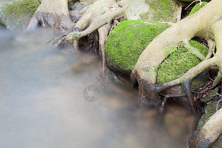 树木中流淌的溪流环境瀑布植物森林林地阳光速度石头公园流动图片