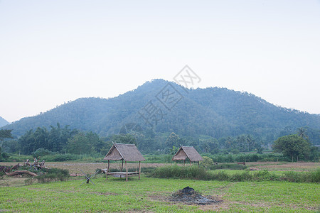 字段中的小栏文化农村房子种植园绿地农场旅游小屋场地土地图片