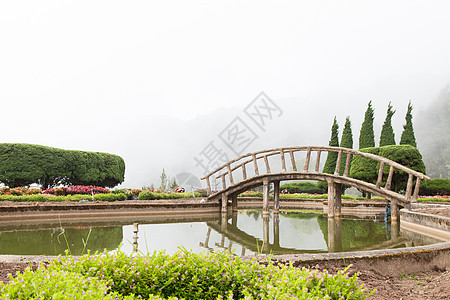 在池塘上架桥叶子旅游荒野环境公园反射天桥踪迹行人旅行图片