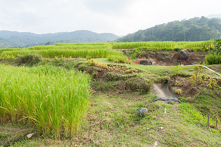 山区的农耕地区叶子植物环境场景季节国家村庄文化土地全景图片