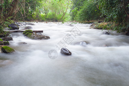 溪流中的水环境液体苔藓场景运动旅行公园叶子阳光岩石图片