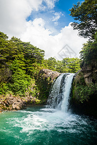 新西兰的热带丛林美丽旅行荒野风景瀑布溪流树木公园图片