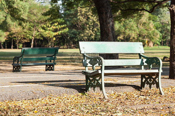人行道座席家具衬套绿地季节椅子叶子场景小路公园阳光图片