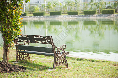 草坪上的法官植物人行道座位阳光叶子场景地面季节椅子公园图片