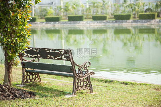 草坪上的法官植物人行道座位阳光叶子场景地面季节椅子公园图片